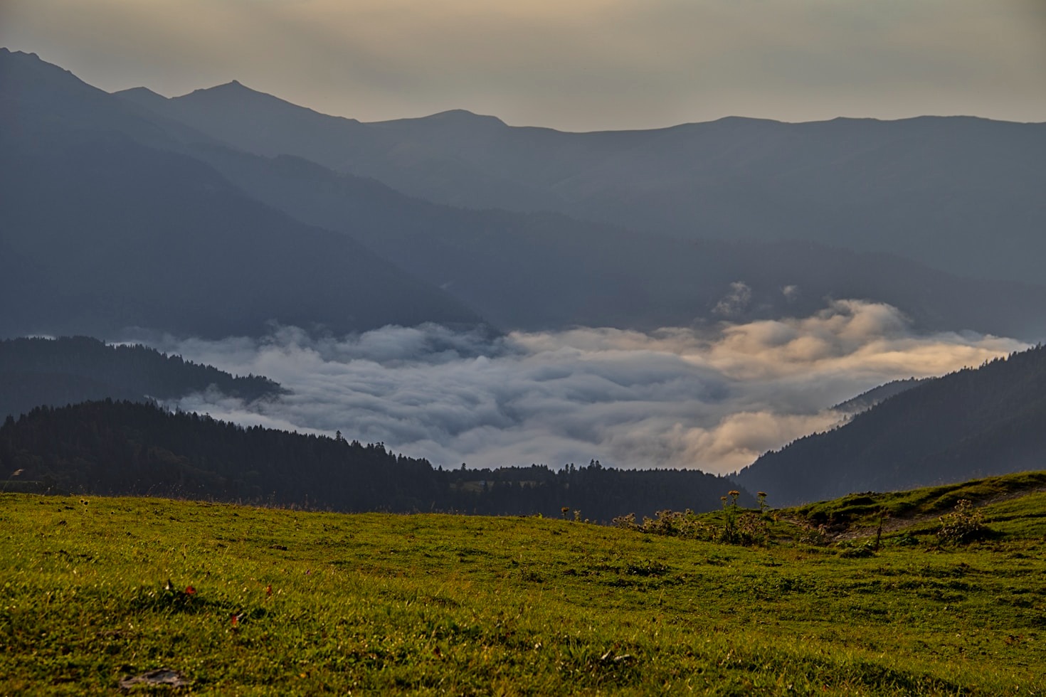 Hidden Gems of Georgia You Can’t Miss