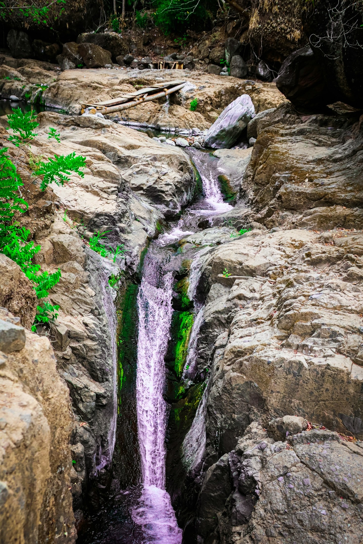 The Rich History of Georgia: A Traveler’s Guide