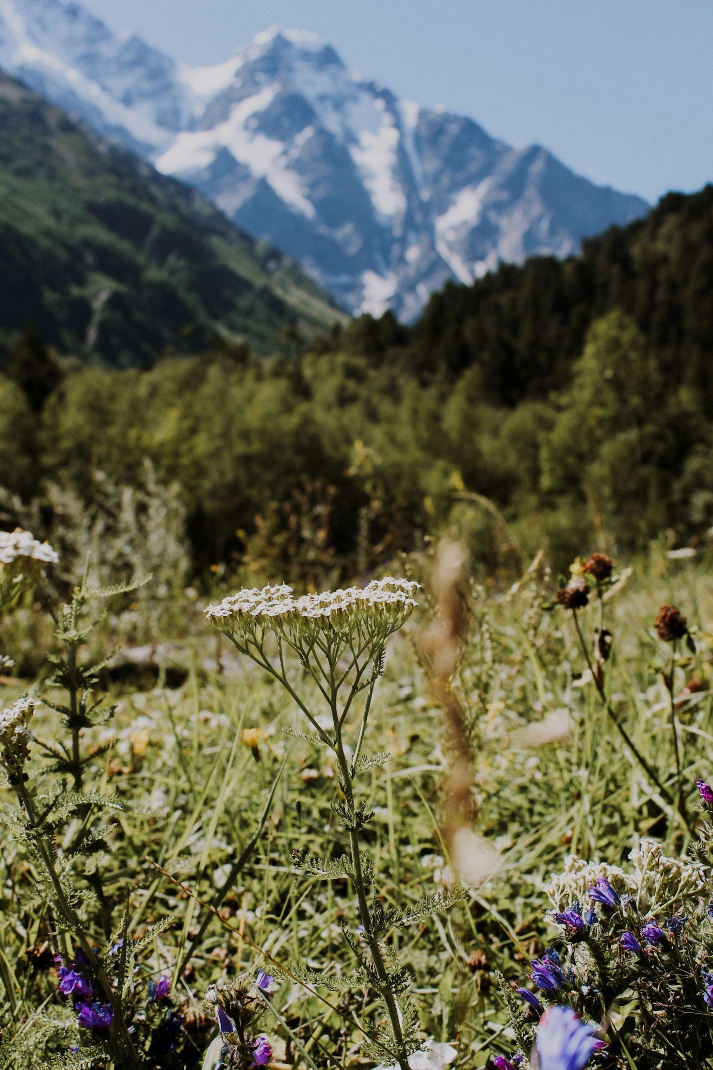 Immersive Cultural Experiences in Georgia